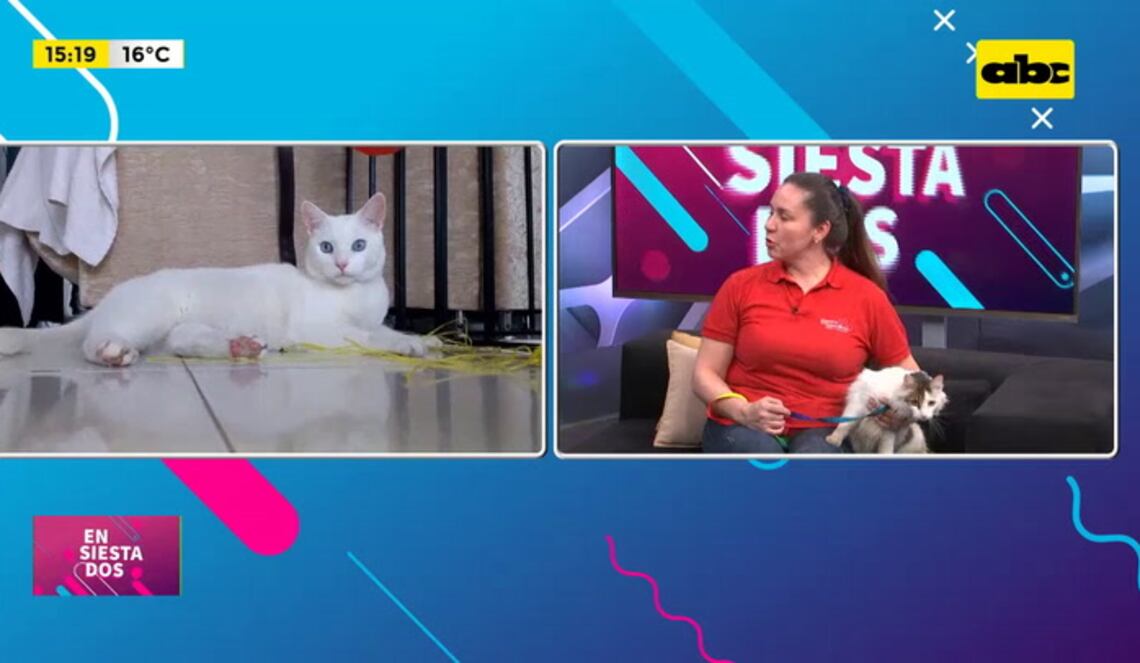 Background ABCTV JWP