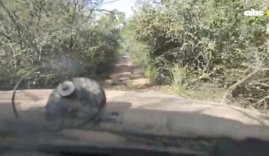 Background ABCTV JWP