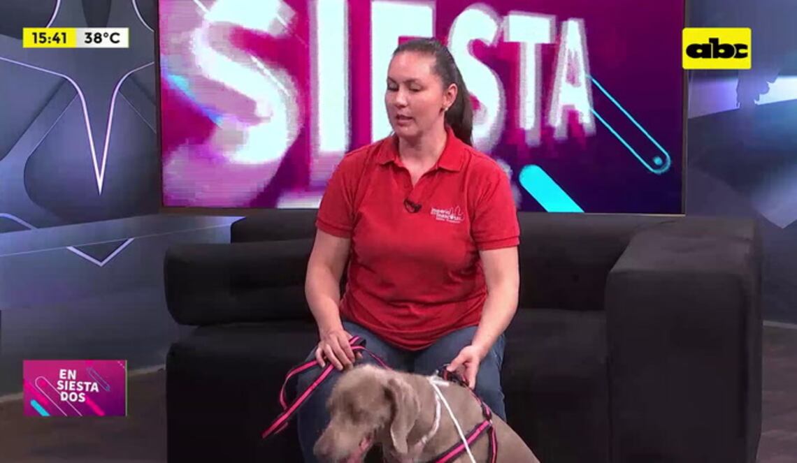 Background ABCTV JWP