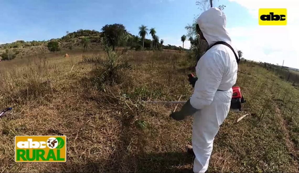 Background ABCTV JWP