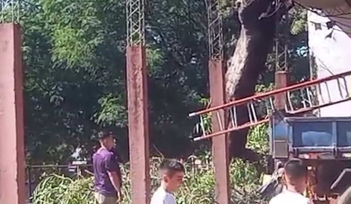 Background ABCTV JWP