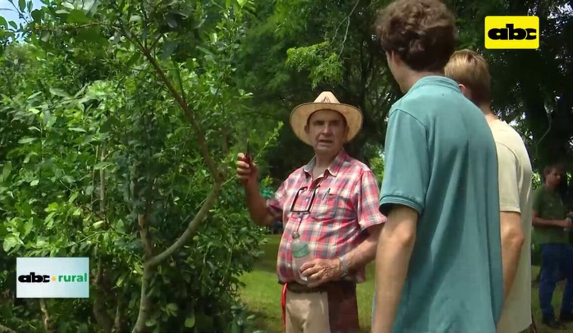 Background ABCTV JWP