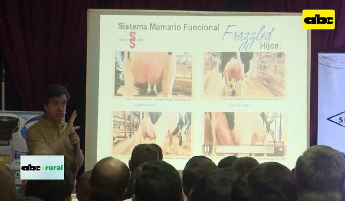 Background ABCTV JWP