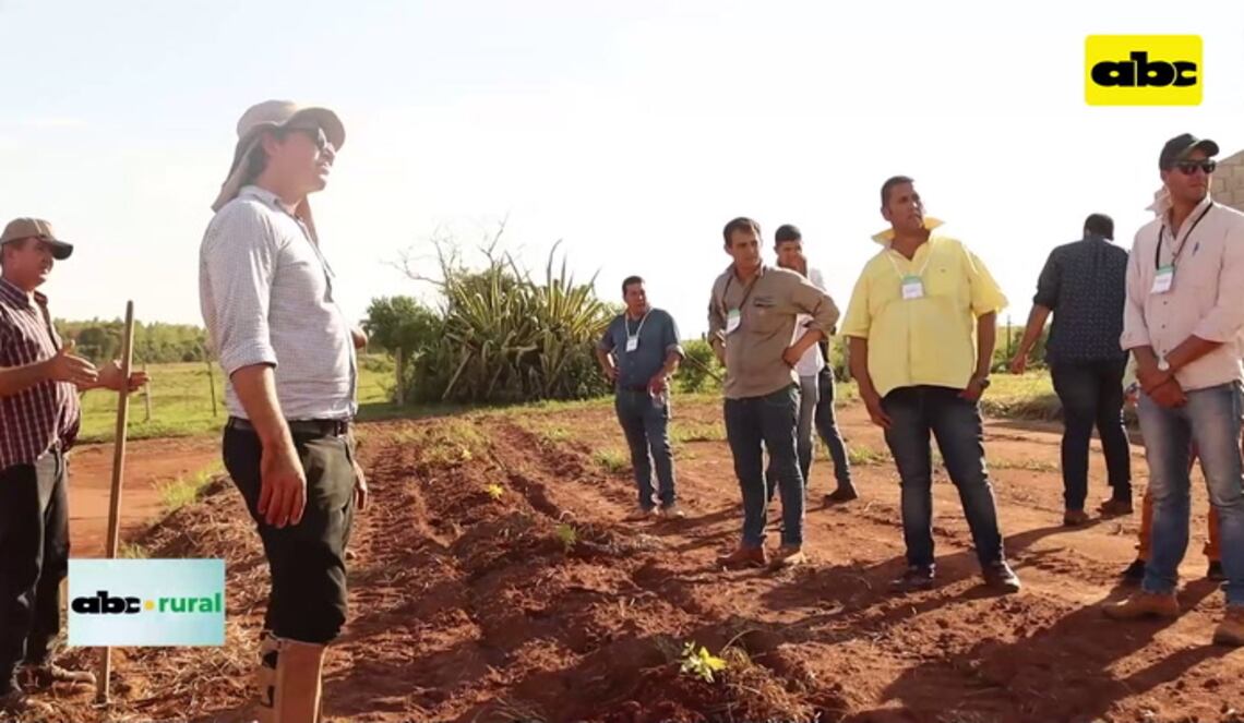 Background ABCTV JWP