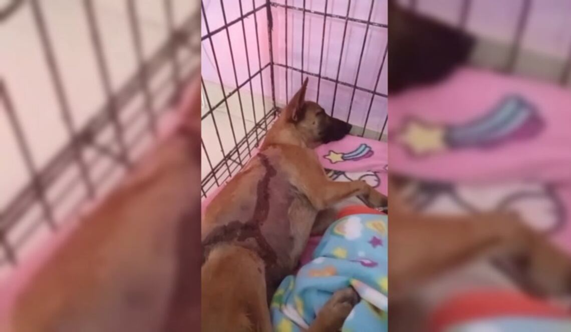 Background ABCTV JWP