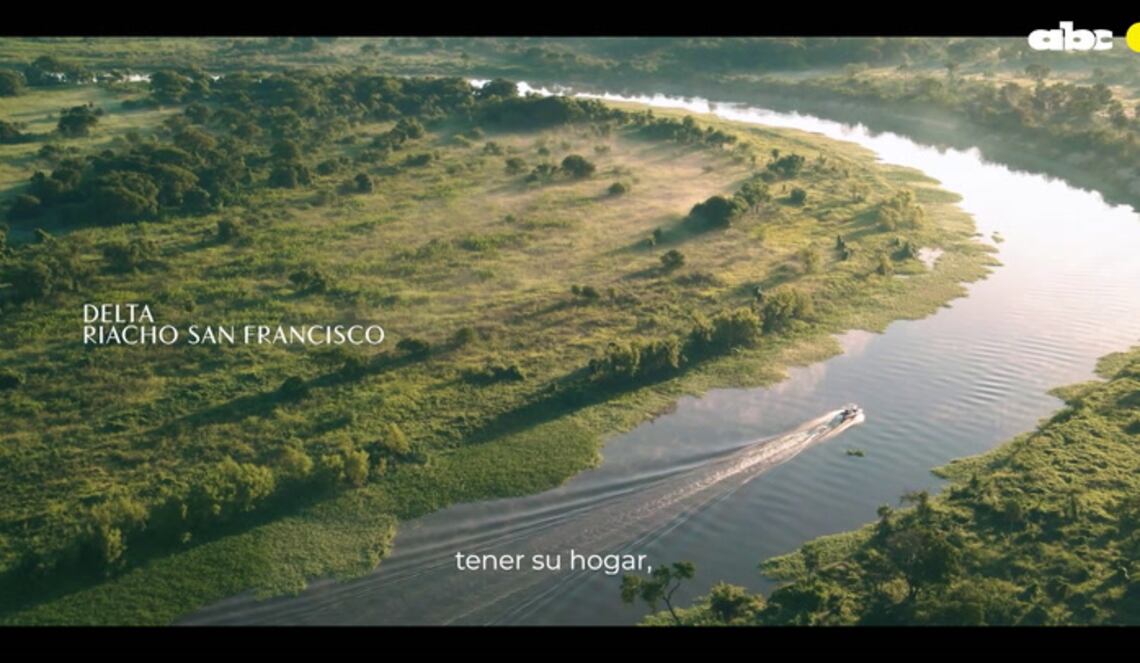 Background ABCTV JWP