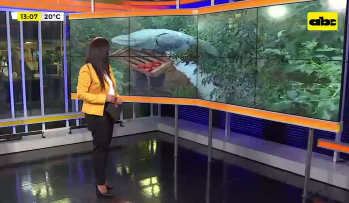 Background ABCTV JWP