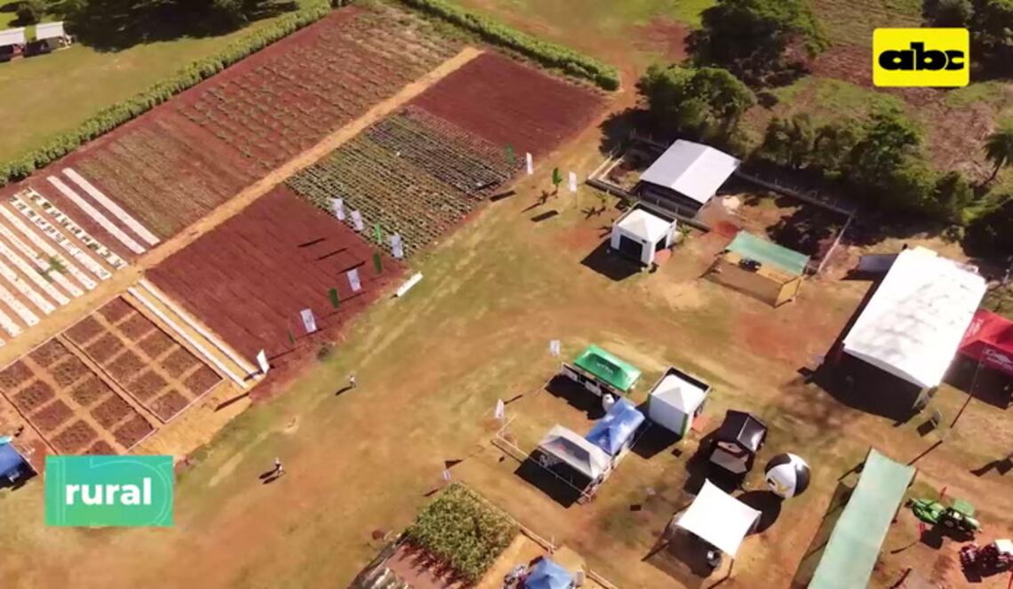 Background ABCTV JWP