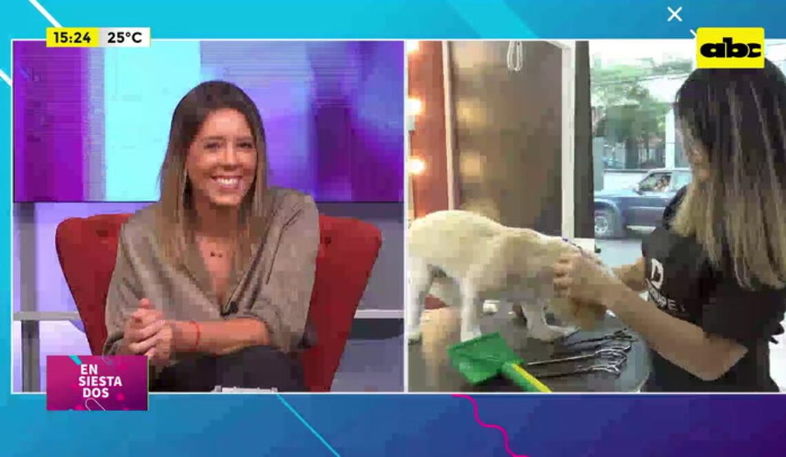 Background ABCTV JWP