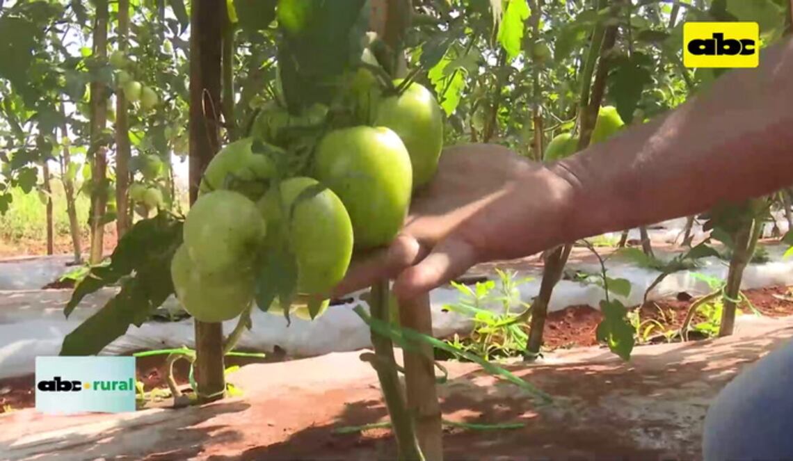 Background ABCTV JWP