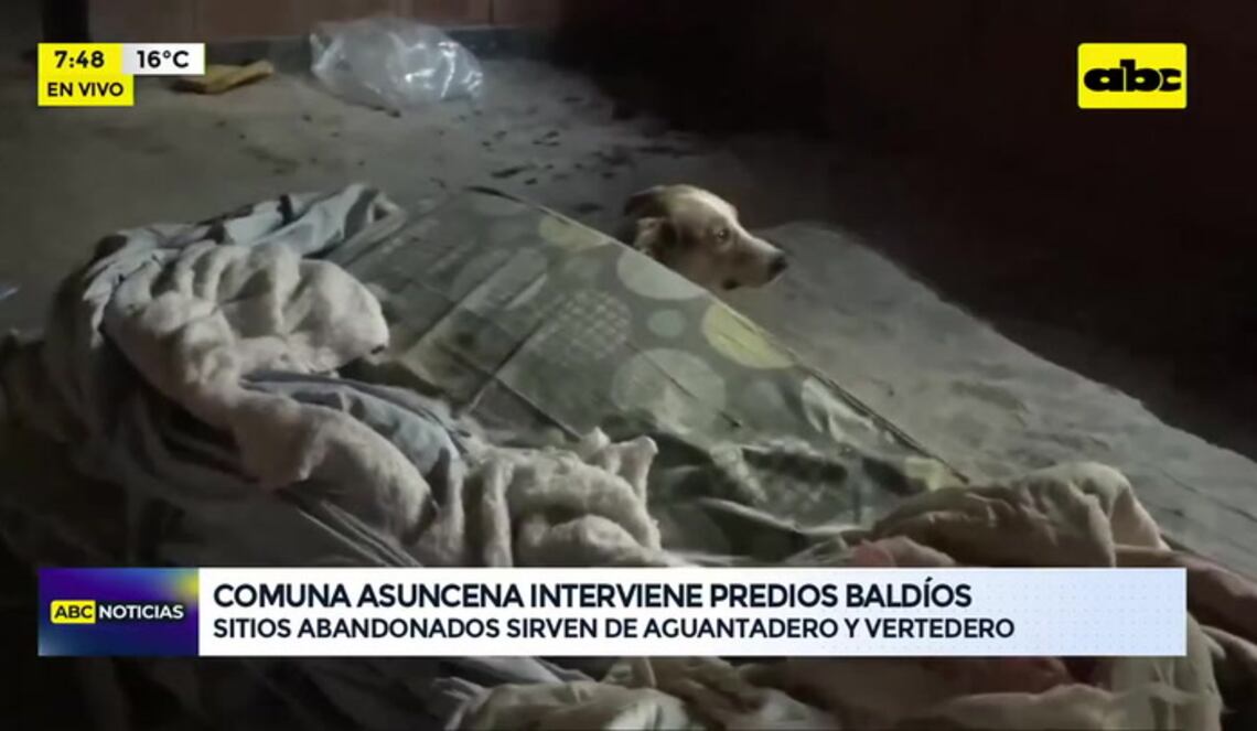 Background ABCTV JWP