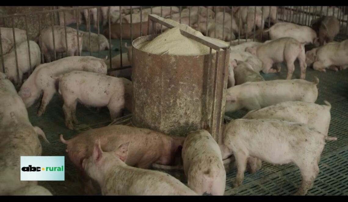 Background ABCTV JWP