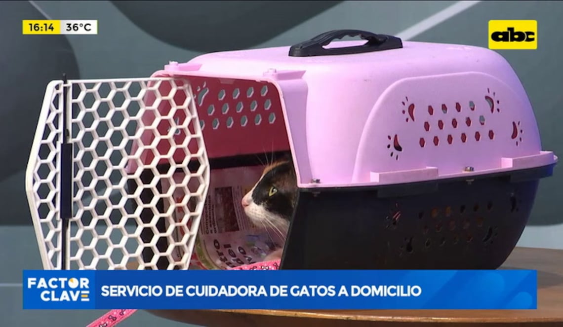 Background ABCTV JWP