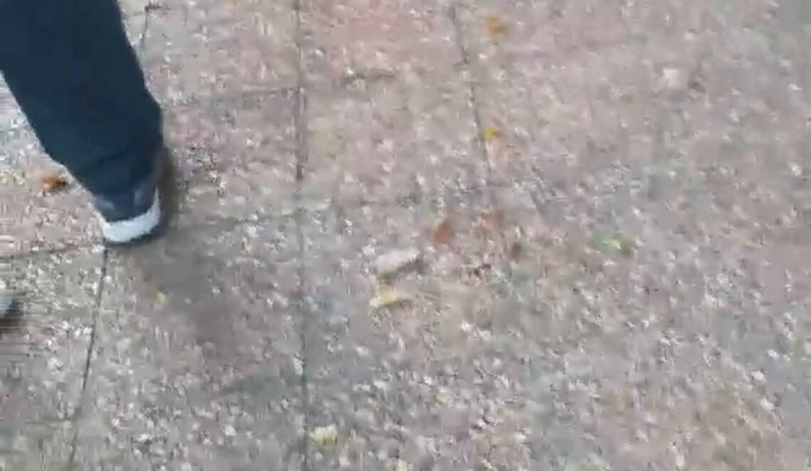 Background ABCTV JWP