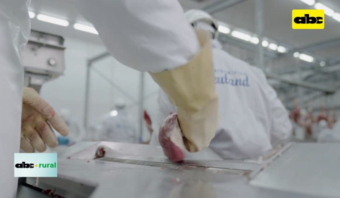 Background ABCTV JWP