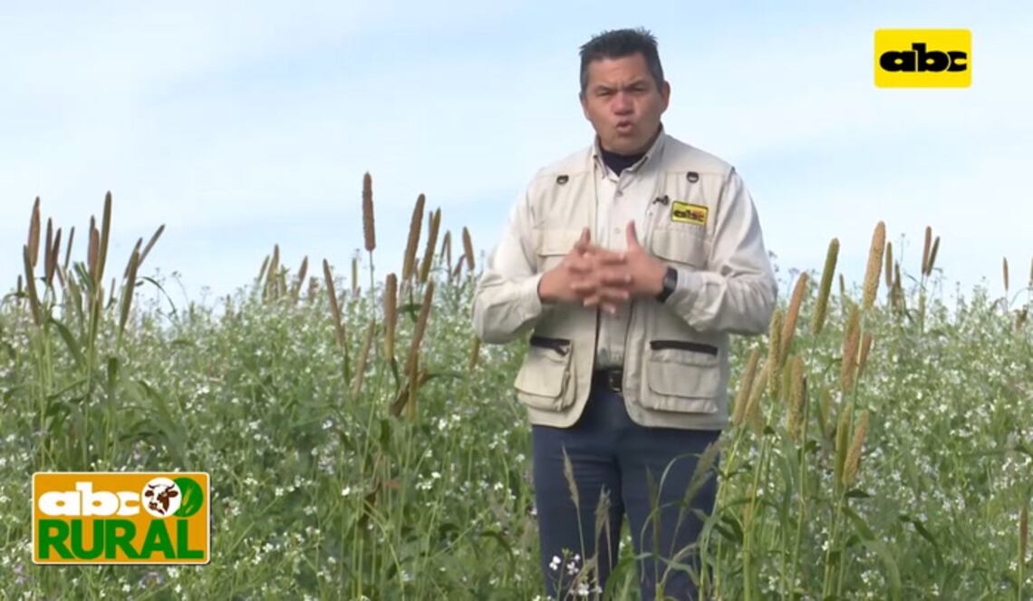 Background ABCTV JWP