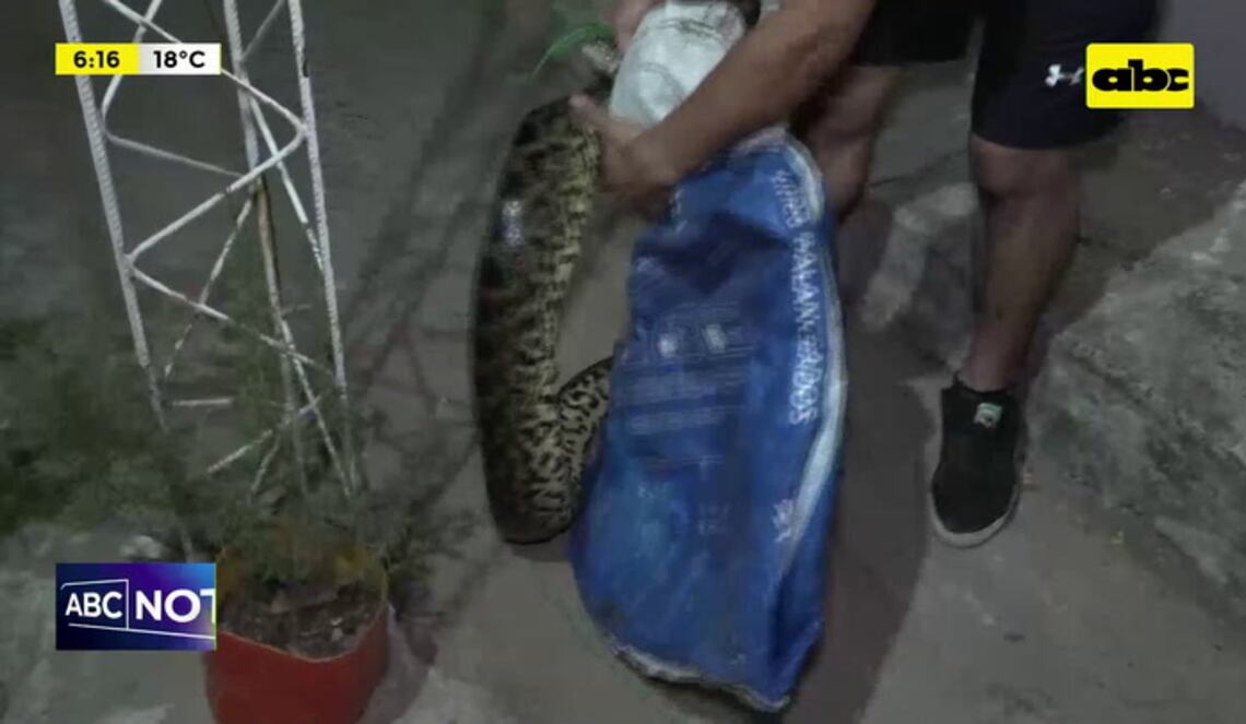 Background ABCTV JWP