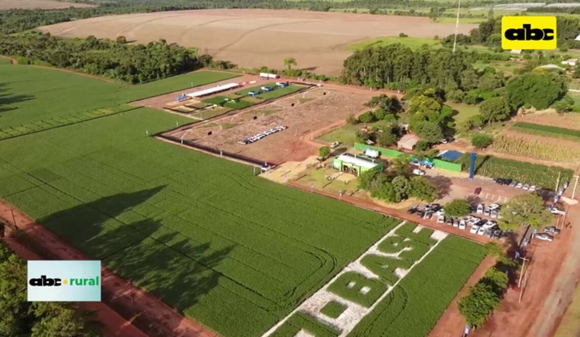 Background ABCTV JWP