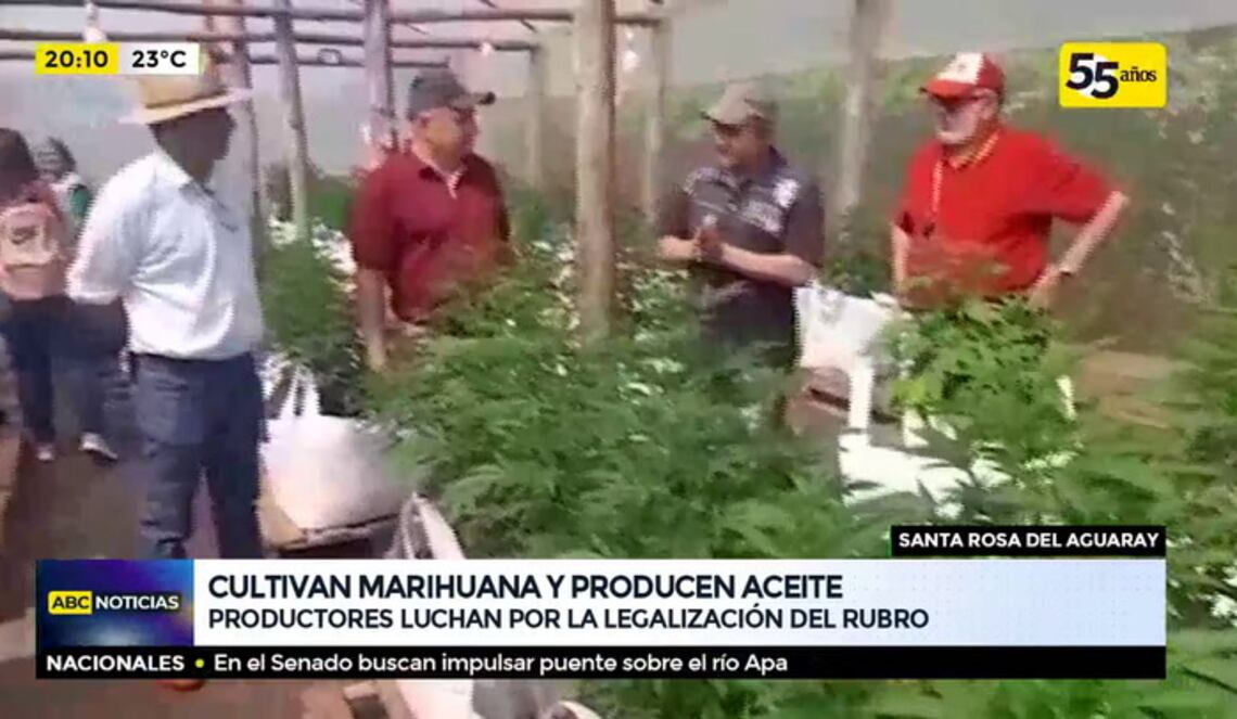 Background ABCTV JWP