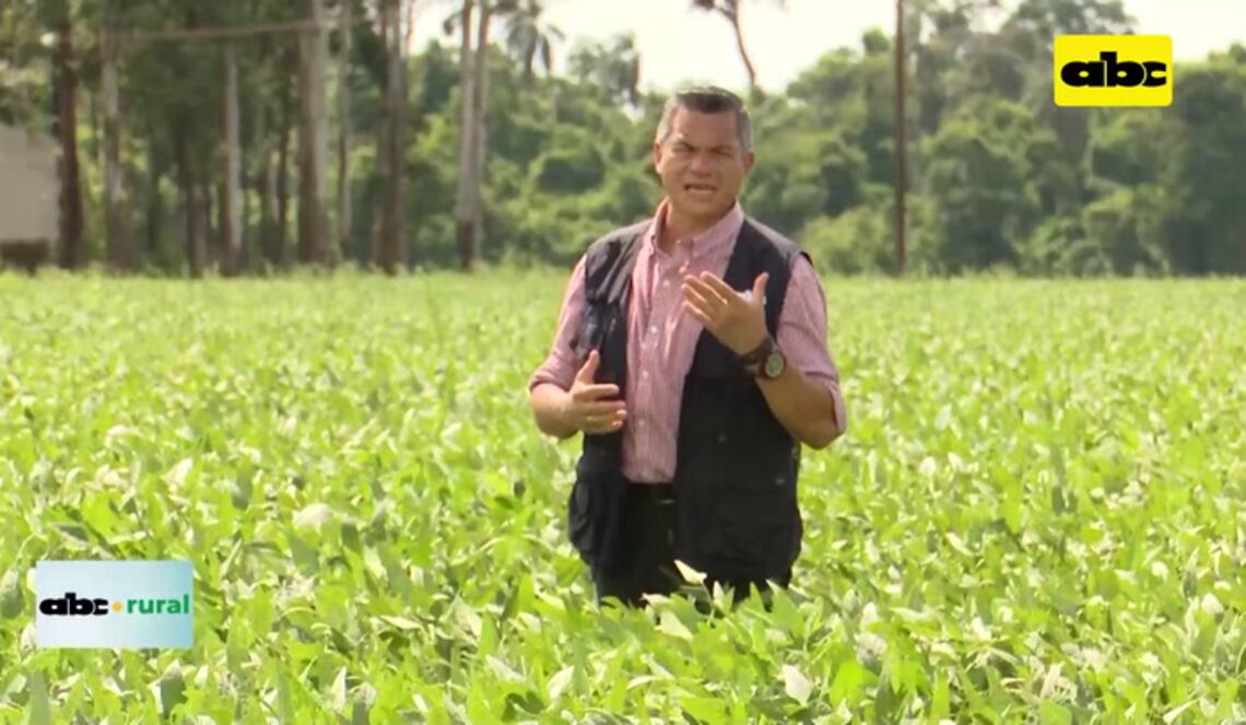 Background ABCTV JWP