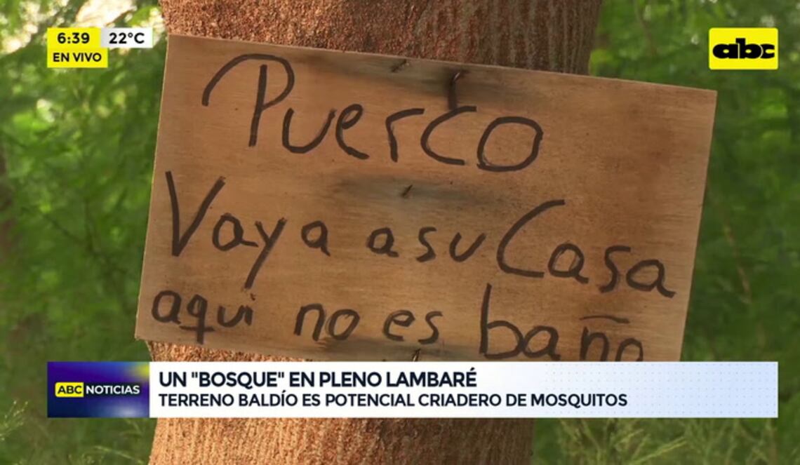 Background ABCTV JWP