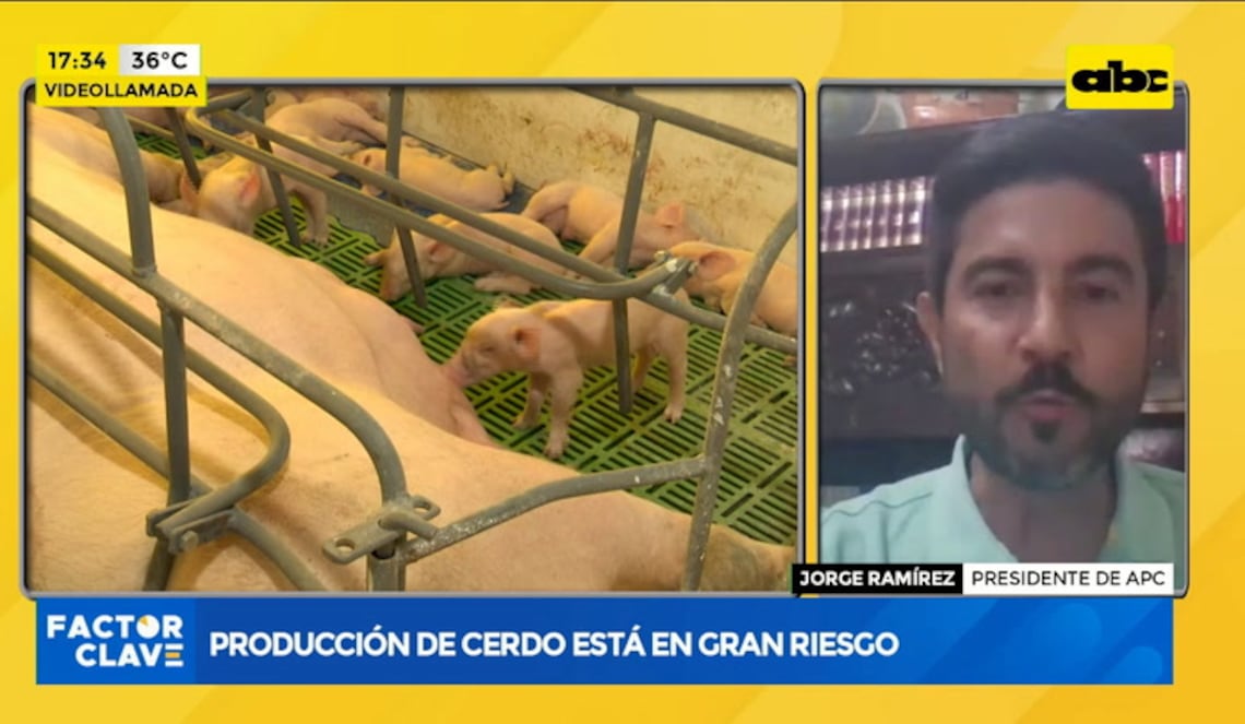 Background ABCTV JWP