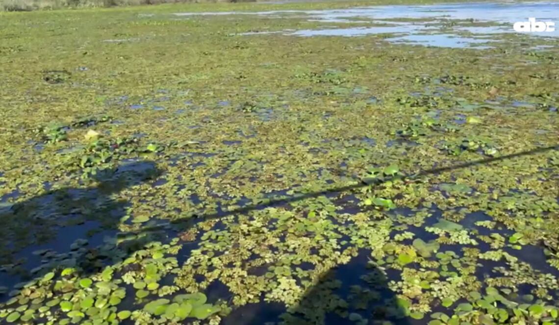 Background ABCTV JWP