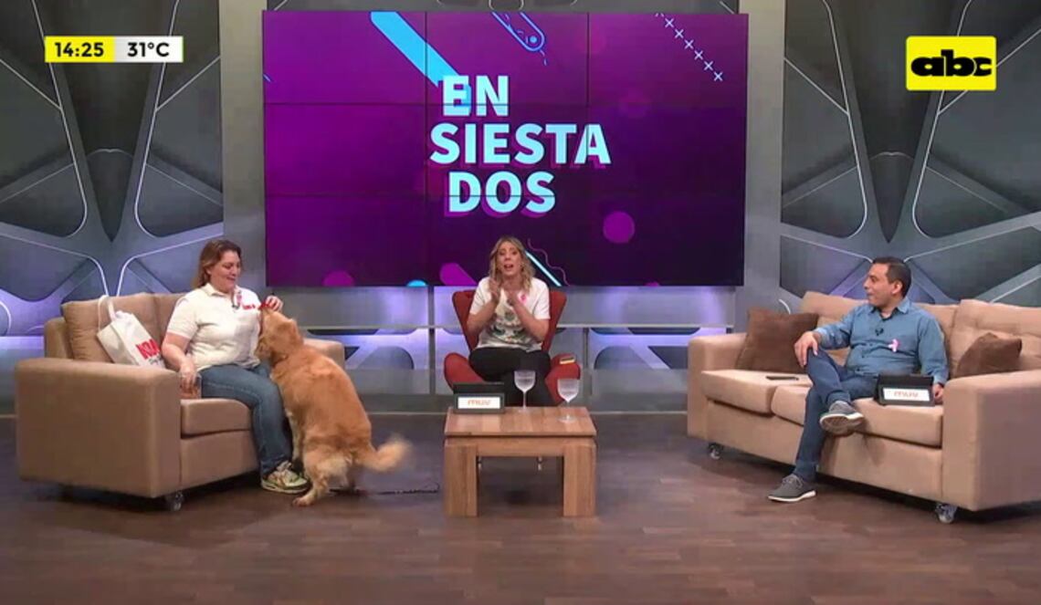 Background ABCTV JWP