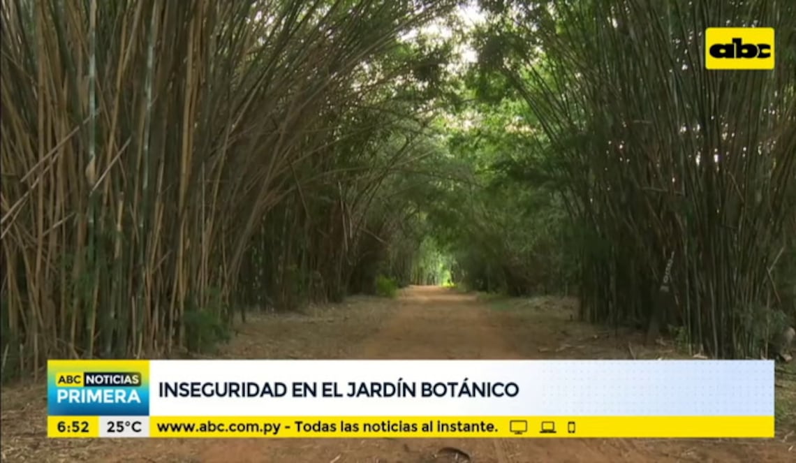 Background ABCTV JWP