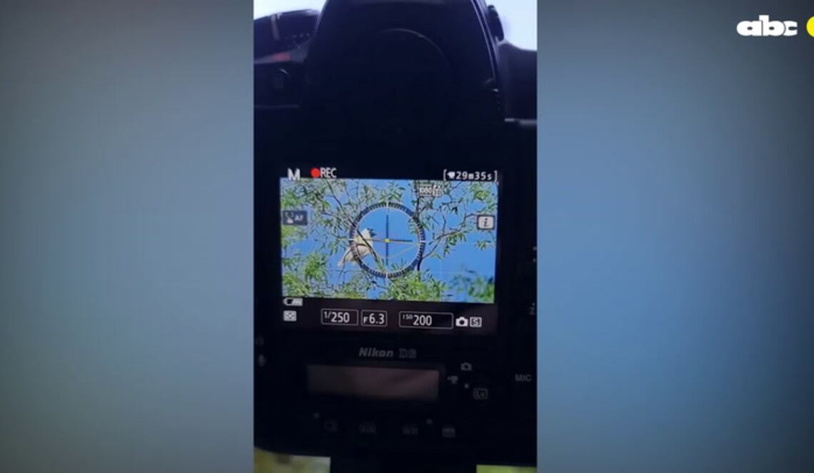 Background ABCTV JWP