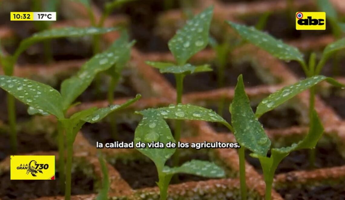 Background ABCTV JWP