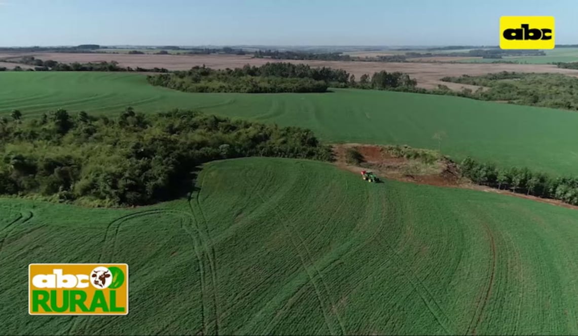 Background ABCTV JWP