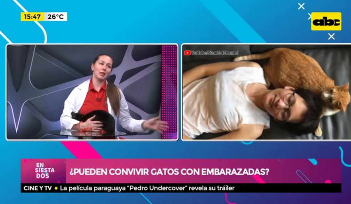 Background ABCTV JWP