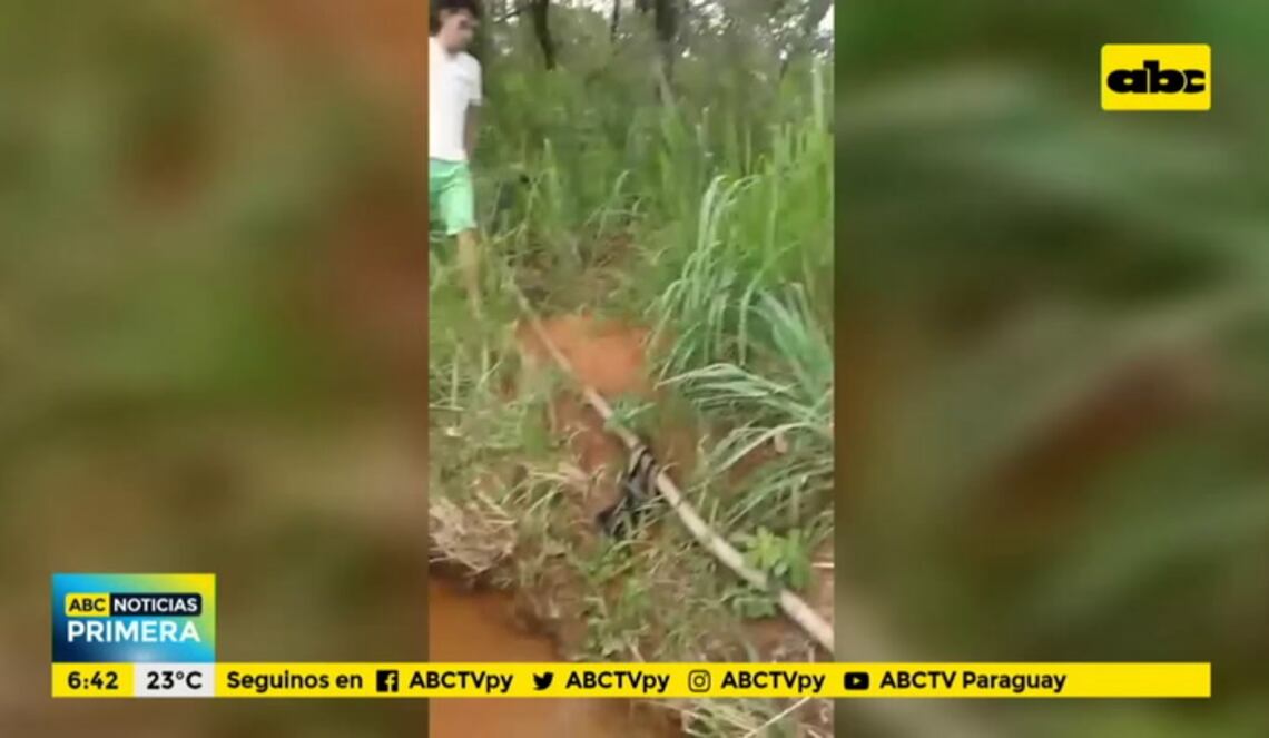 Background ABCTV JWP