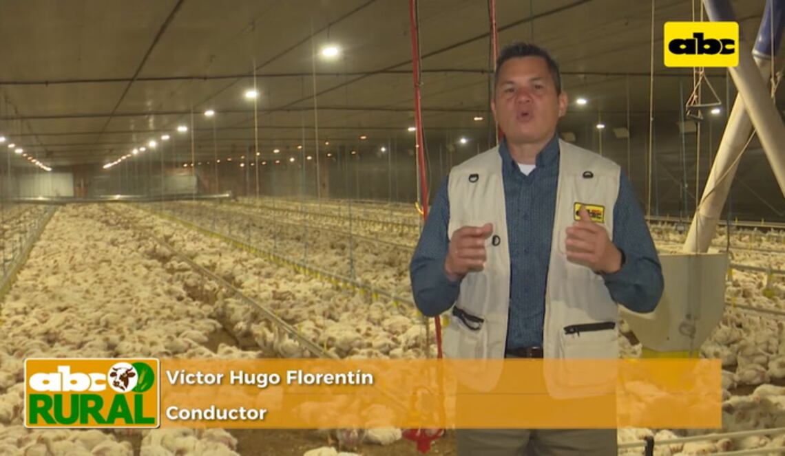 Background ABCTV JWP