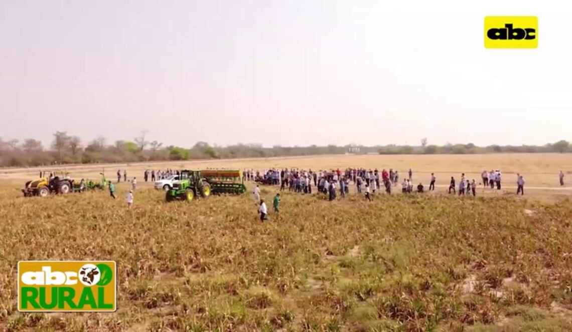 Background ABCTV JWP