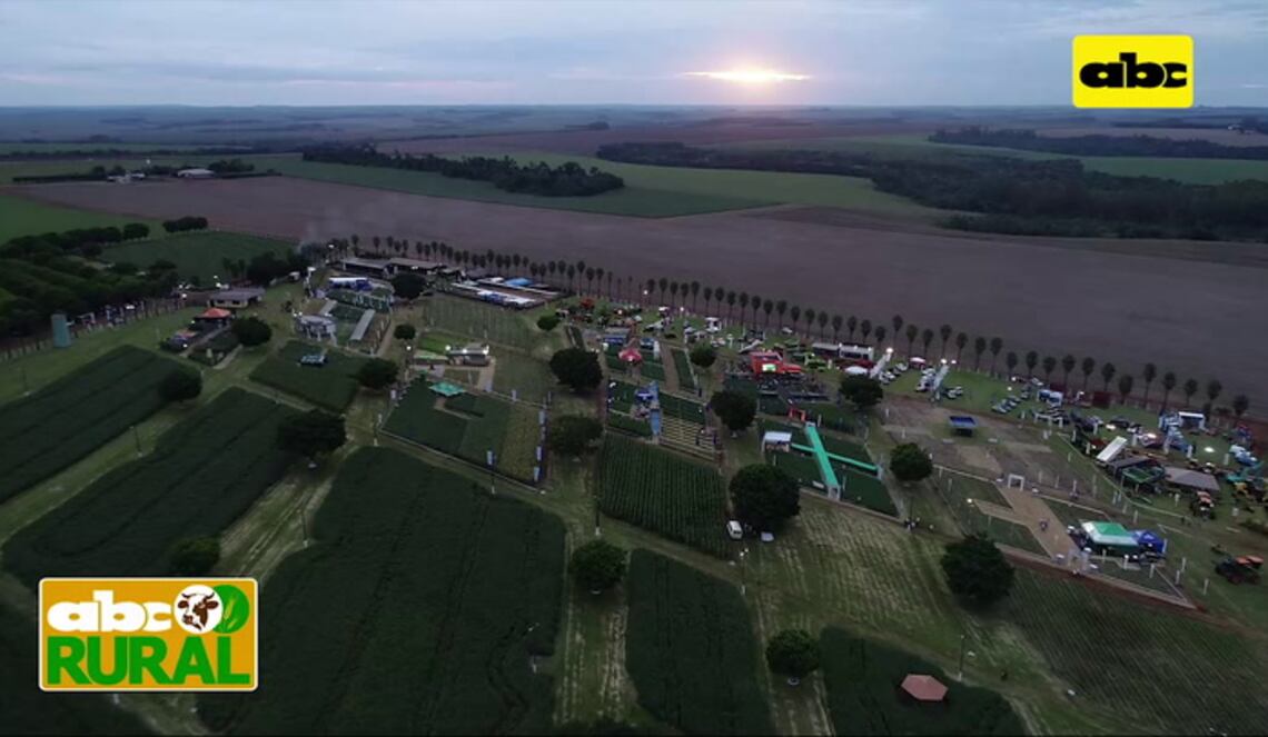 Background ABCTV JWP