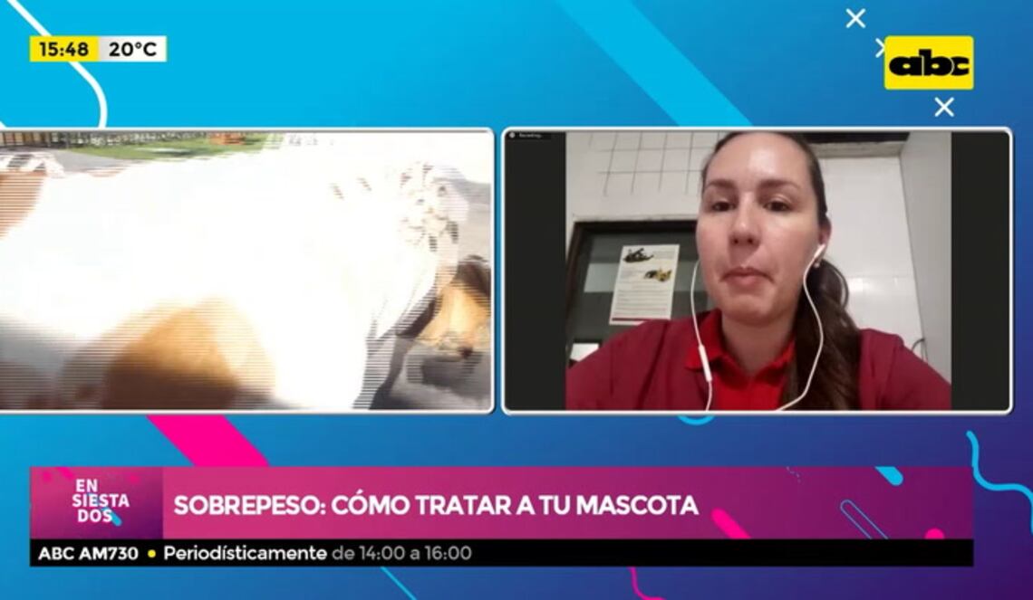 Background ABCTV JWP