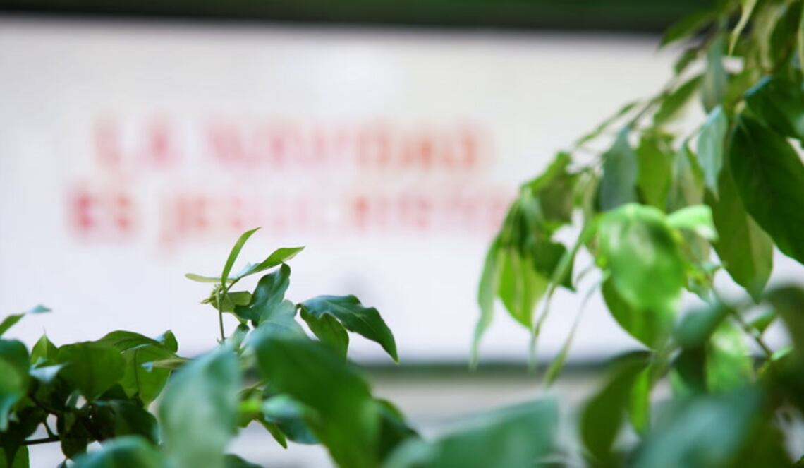 Background ABCTV JWP