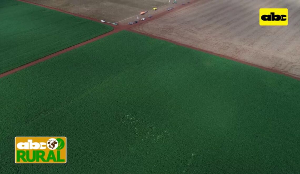 Background ABCTV JWP