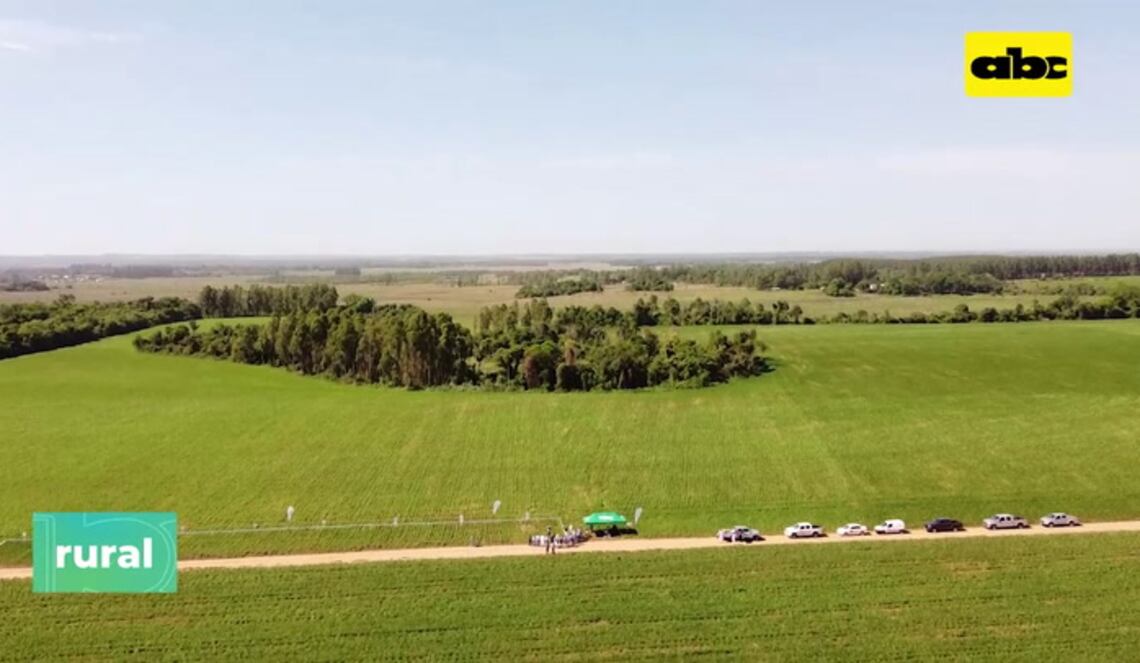 Background ABCTV JWP