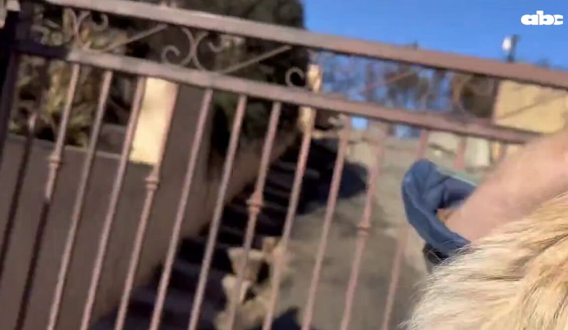 Background ABCTV JWP