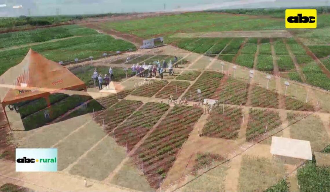 Background ABCTV JWP