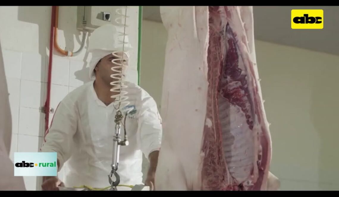 Background ABCTV JWP