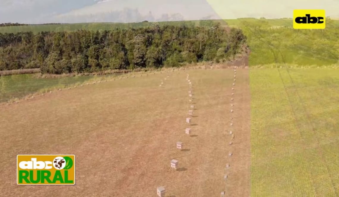 Background ABCTV JWP