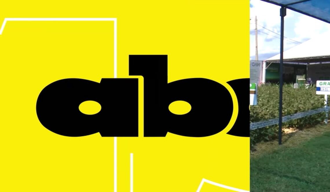 Background ABCTV JWP