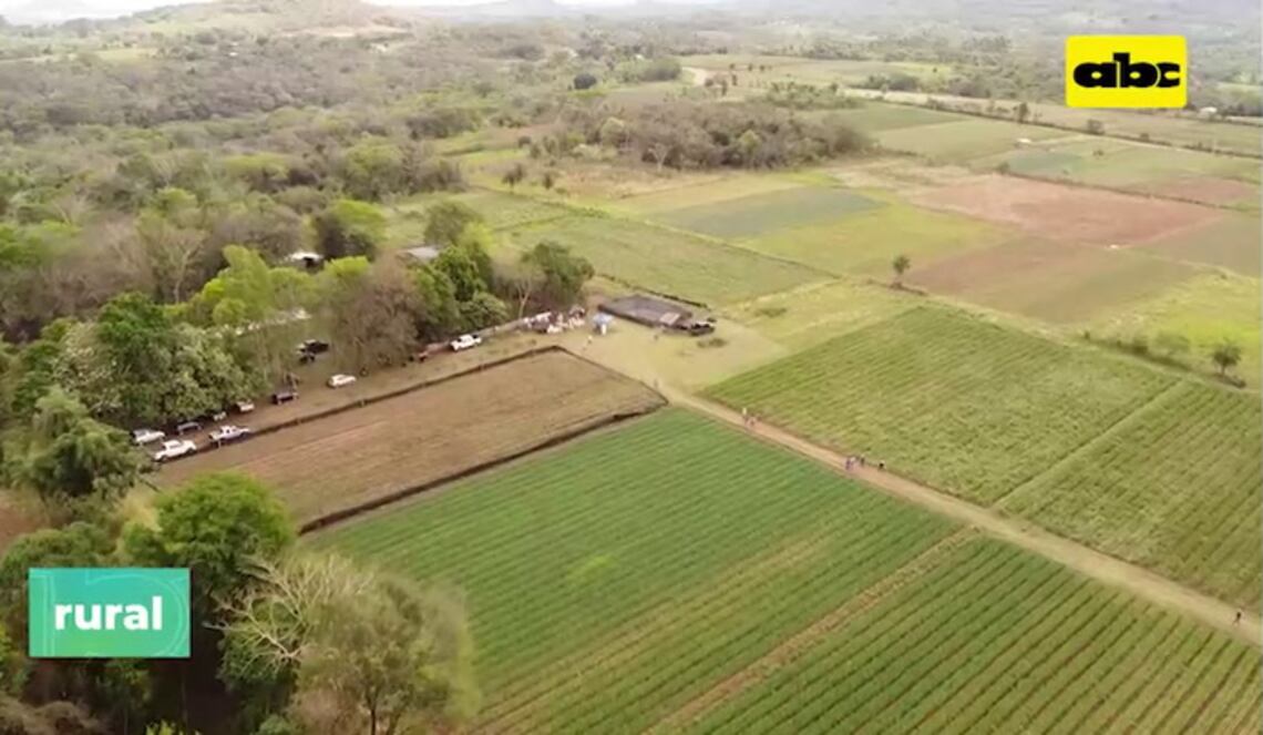 Background ABCTV JWP