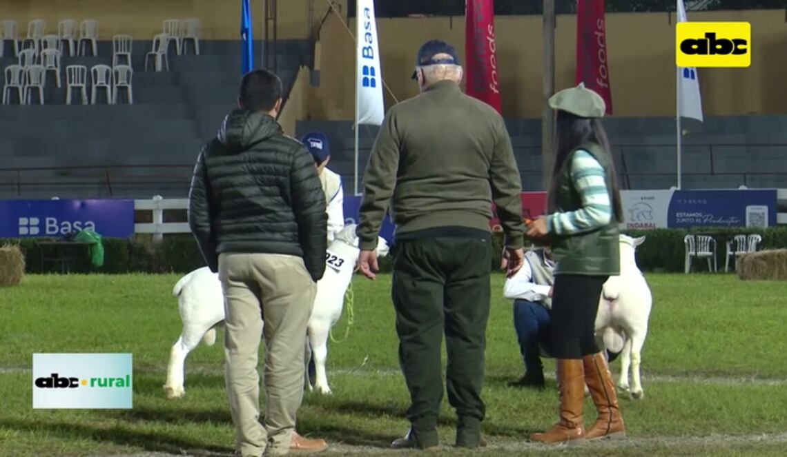 Background ABCTV JWP