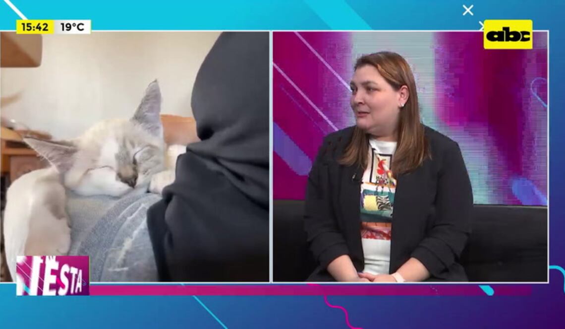 Background ABCTV JWP