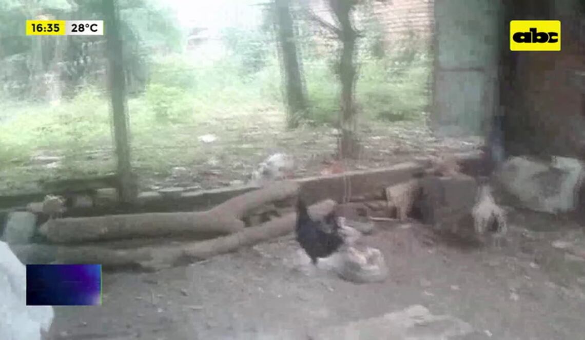 Background ABCTV JWP